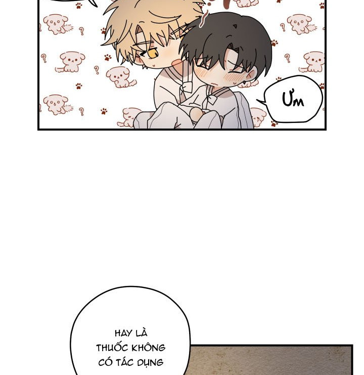 đường hoa liên kiều rơi chapter 24 6