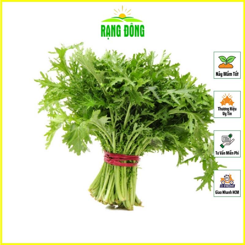 Hạt giống Rau Tần Ô Trồng Quanh Năm, Sinh Trưởng Khỏe - Hạt giống Rạng Đông