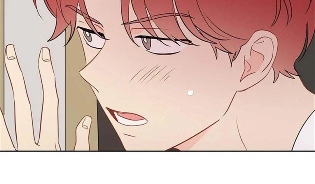 chuyện quái gì với giấc mơ đó vậy chapter 31 68