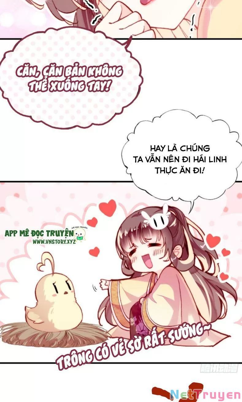 lại bị bệnh chiều chuộng quấn lấy chapter 12 11