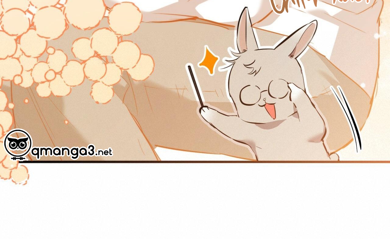 những chú thỏ của hapypy chapter 52 97