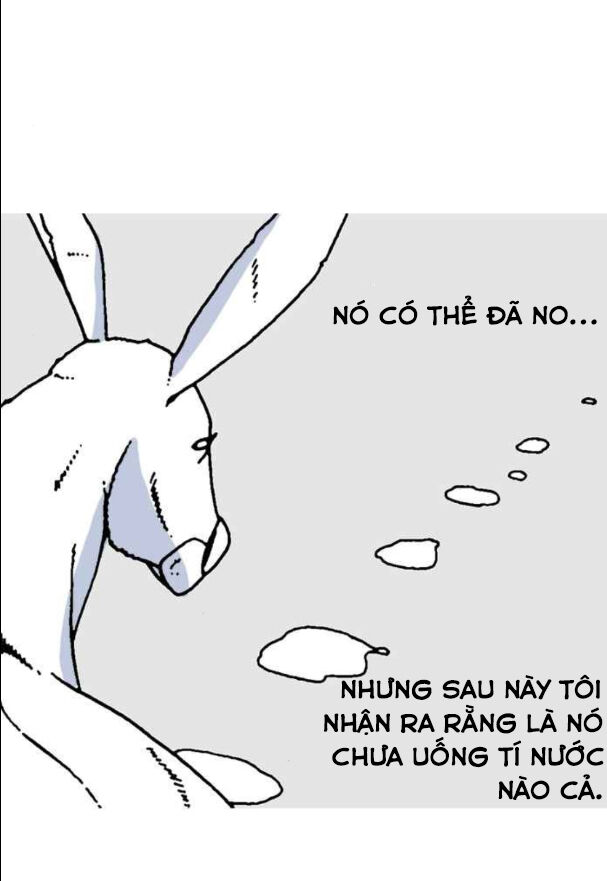 mắc kẹt trên mặt trăng chapter 11 14