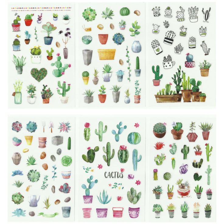 Bộ 6 Tấm Sticker Trang Trí Xương Rồng Castus