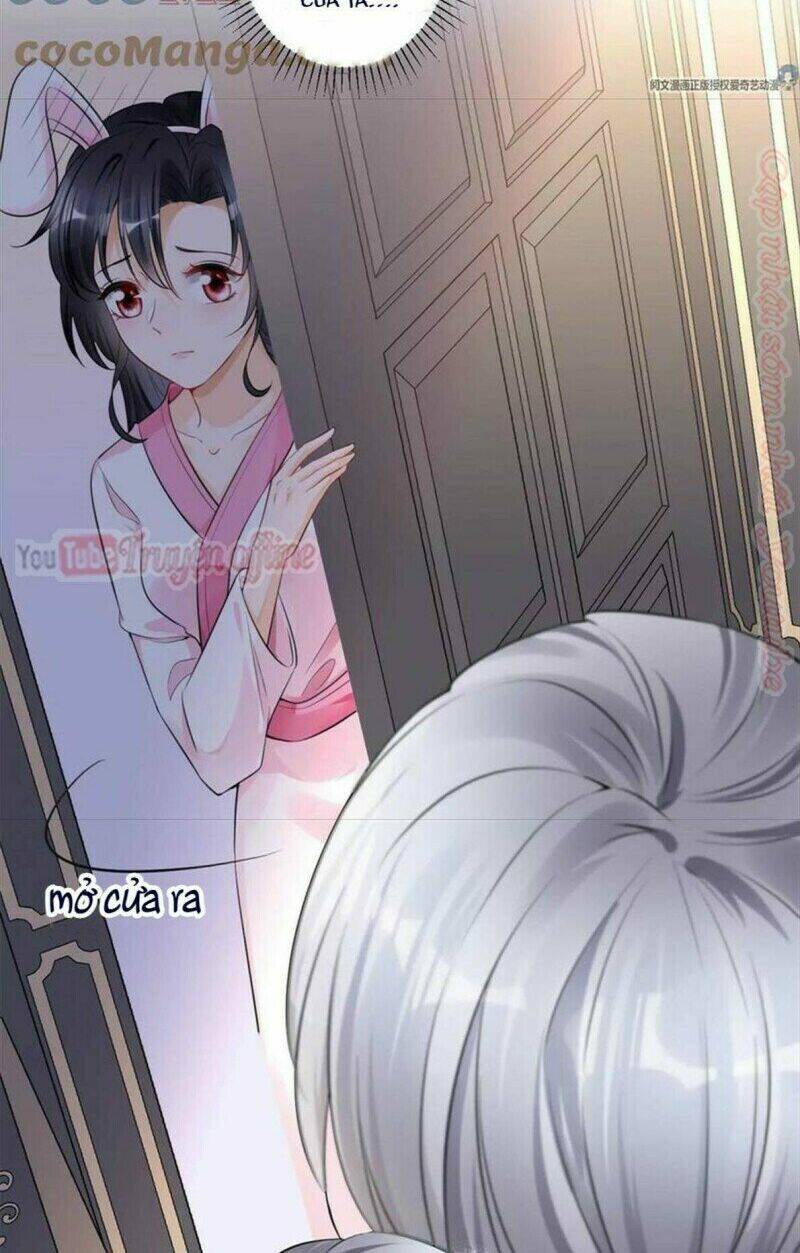 tôi trở thành tổ tông của 5 vị đại lão chapter 44 7