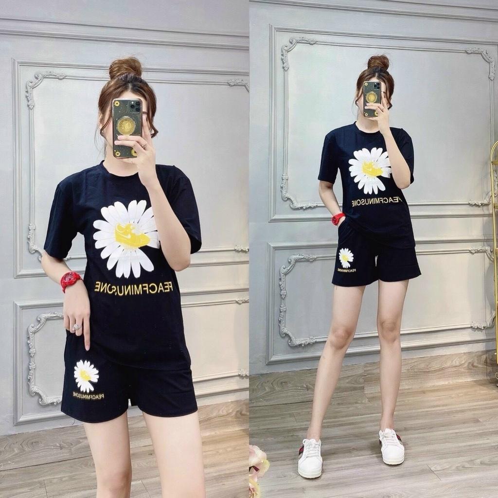 Set bộ đồ mặc nhà thun cotton nữ cực đẹp