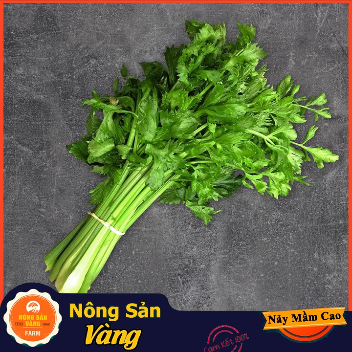Hạt giống Rau Cần Tây - Nông Sản Vàng