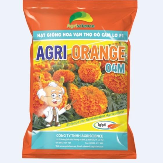 Hạt giống hoa Vạn Thọ đỏ cam Lở F1 - AGRI ORANGE 04M