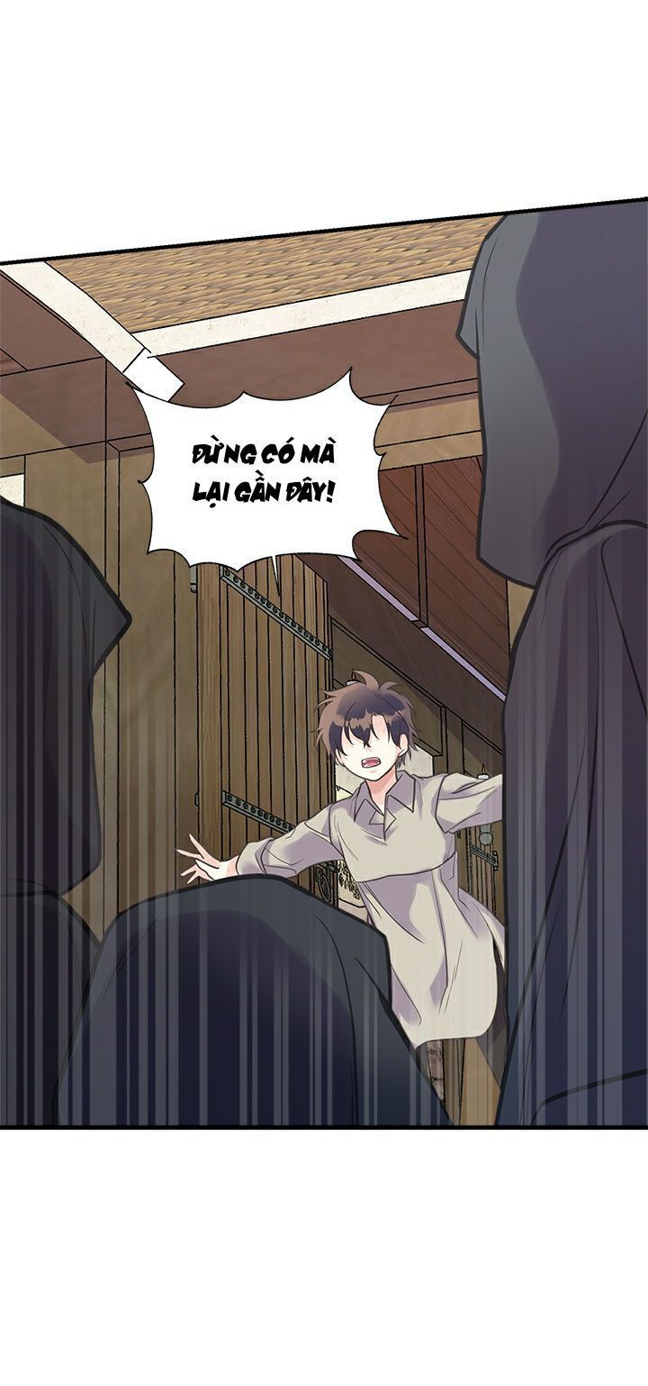 chị tôi đã nhặt về một nam chính quyến rũ chapter 22 19