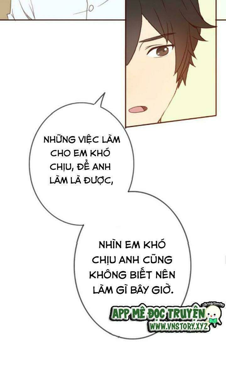 tình yêu không nói dối chapter 28 31