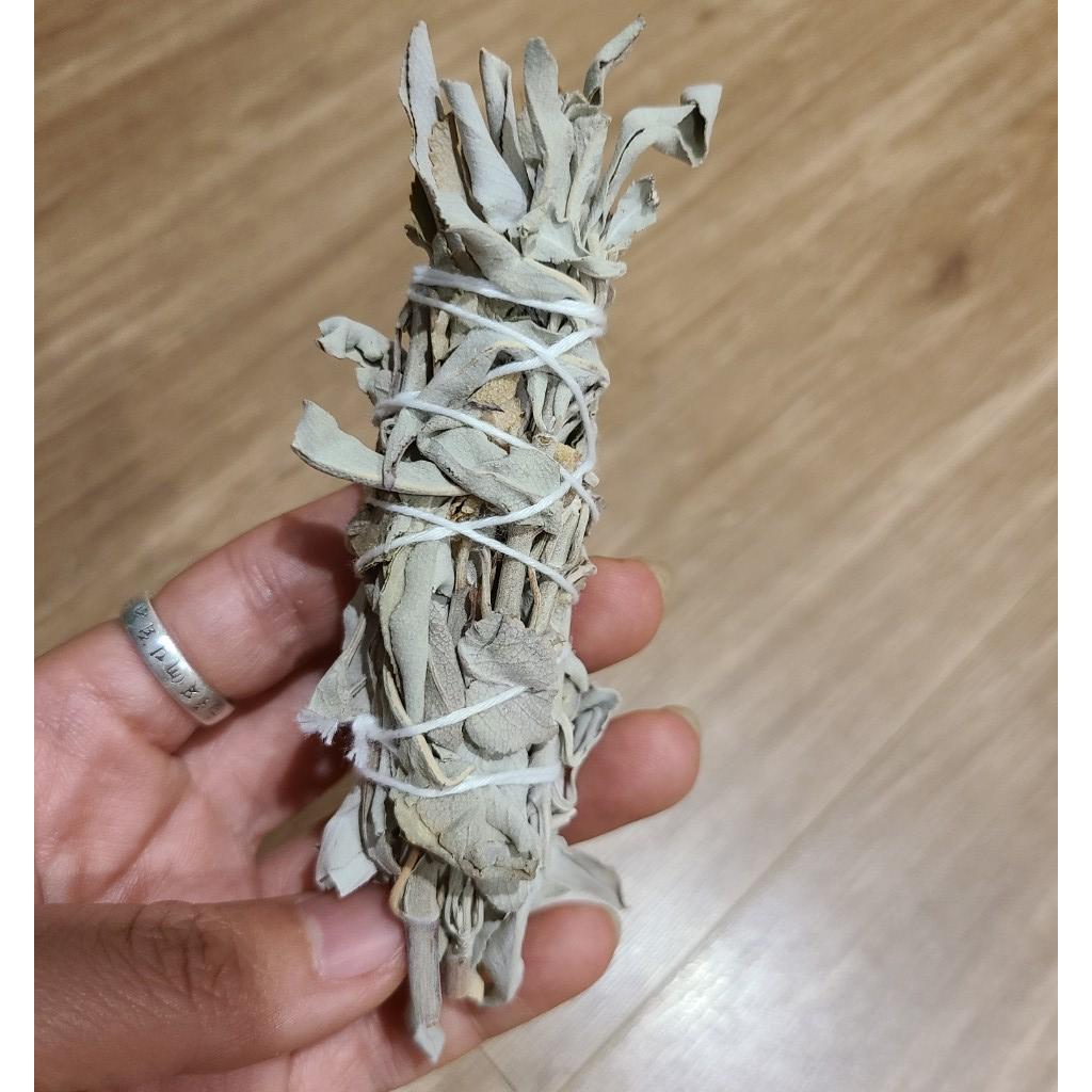 {Bó dùng thử} Xô Thơm Trắng Thanh Tẩy [ White Sage
