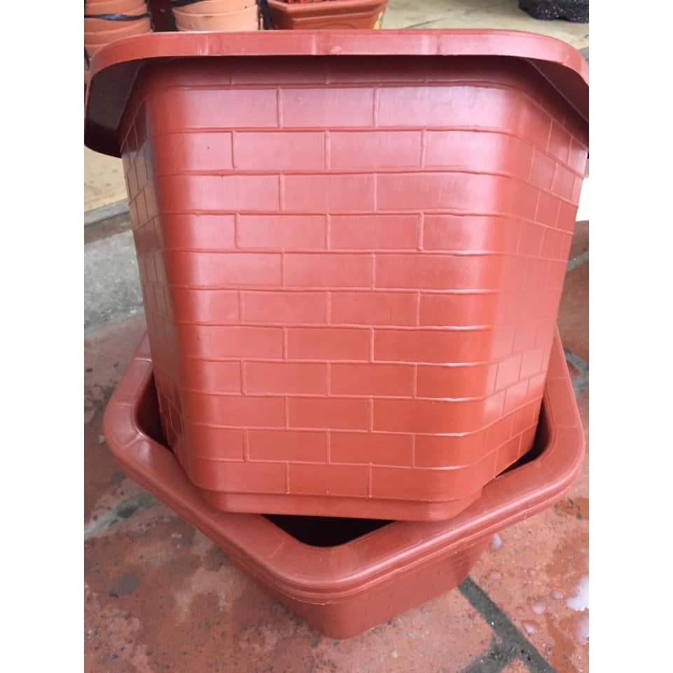 Compo 5 chậu lục giác FA 520