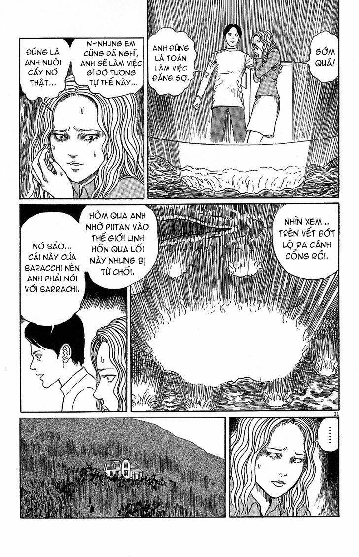 black paradox chapter 5 30