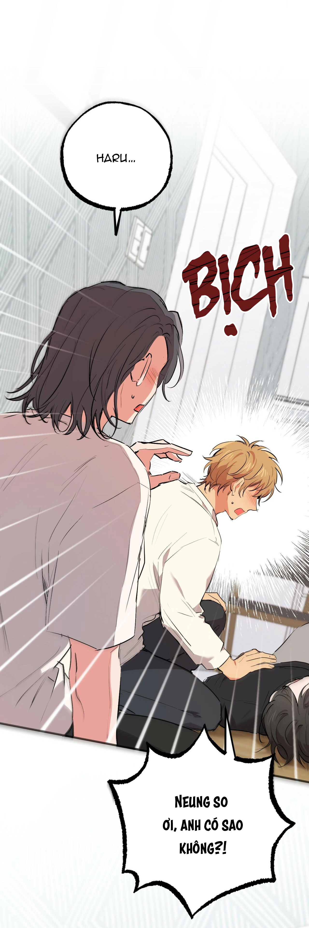 những chú thỏ của hapypy chapter 36 41