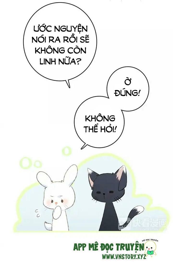 con tim rung động 2 chapter 41.5 12