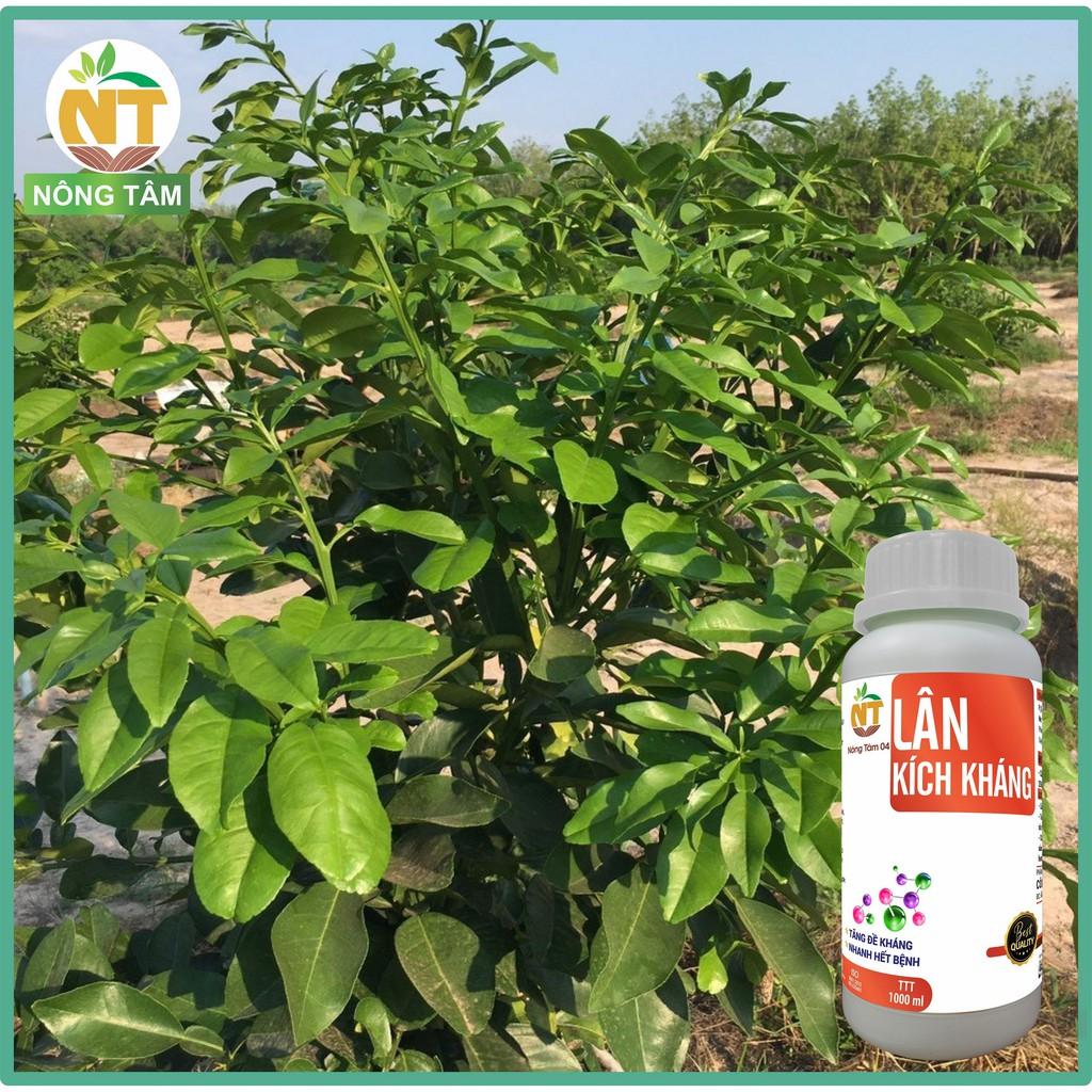 Phân bón vi lượng tăng sức đề kháng, hạn chế mầm bệnh, chuyên dùng cho cây ăn quả, chai 1000ml