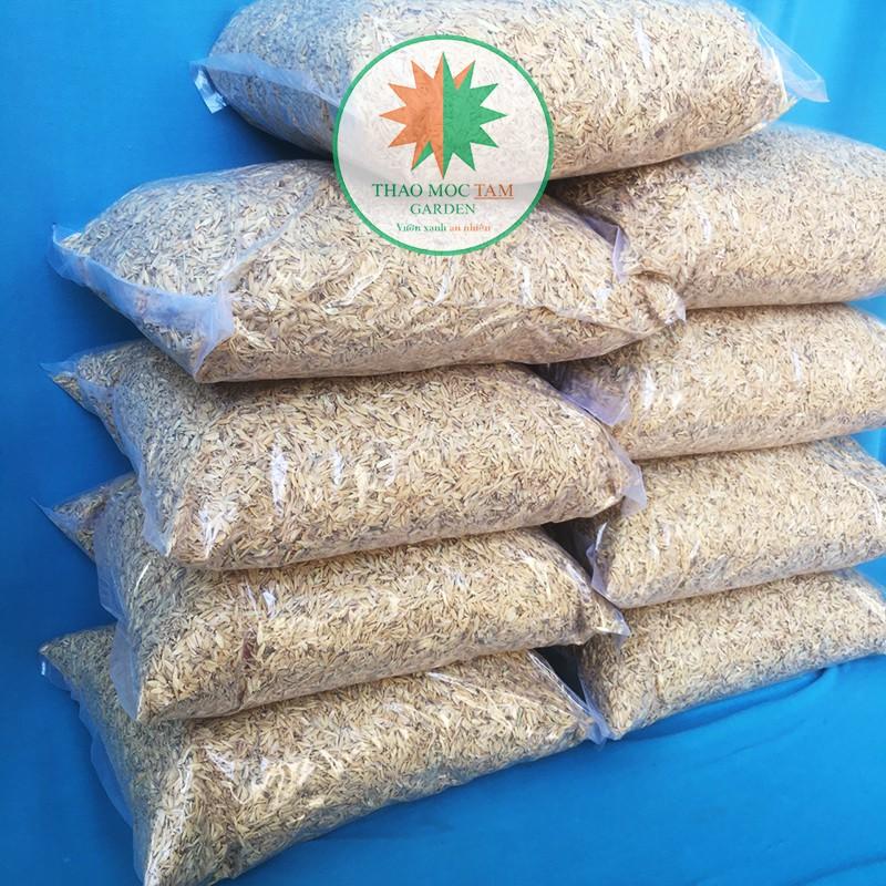 Vỏ Trấu Tươi nguyên chất – Vỏ trấu trộn giá thể trồng cây trồng hoa, phủ bề mặt làm mát giữ ẩm đất
