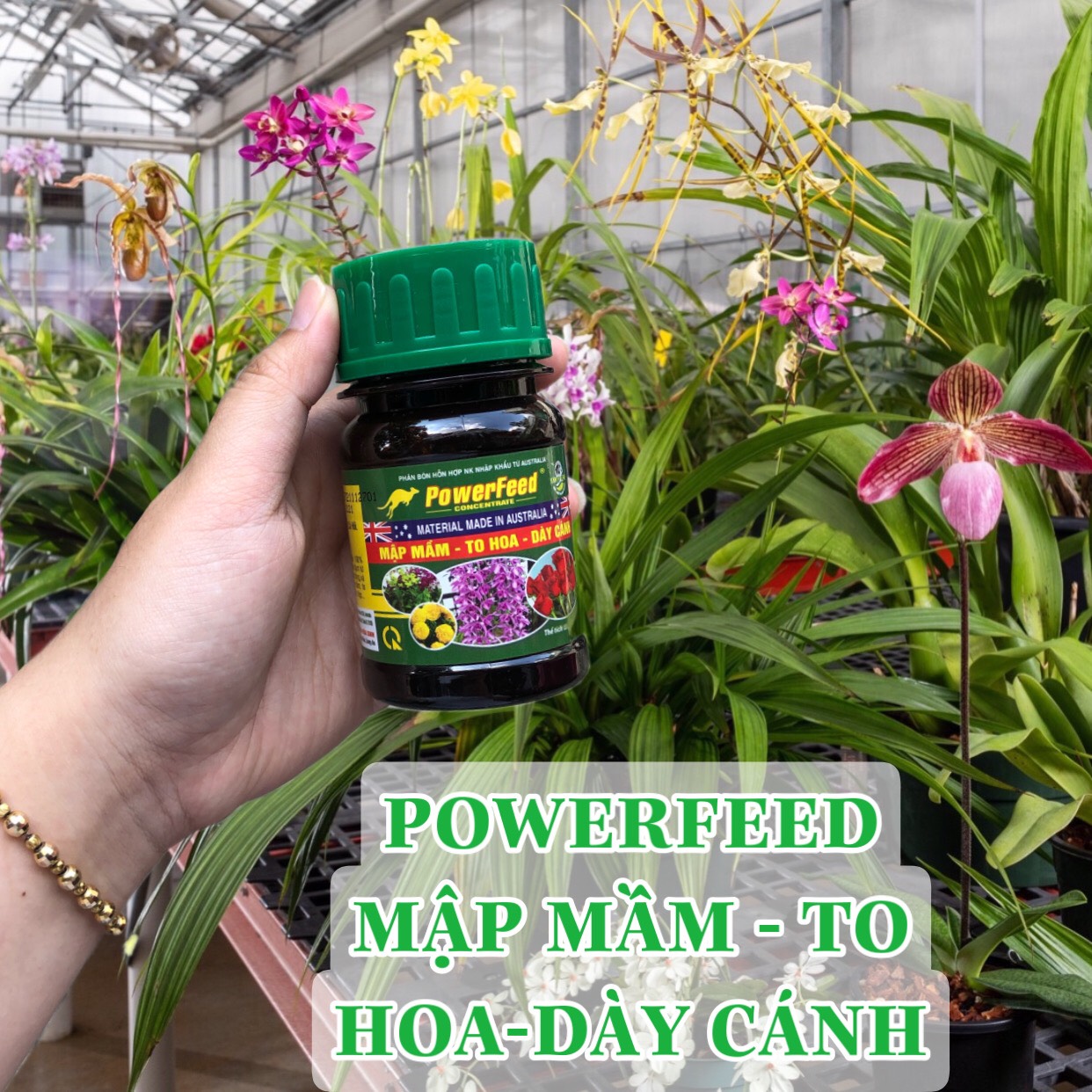 Phân Cá PowerFeed Mập mầm-To hoa- Dày cánh - 100 ml