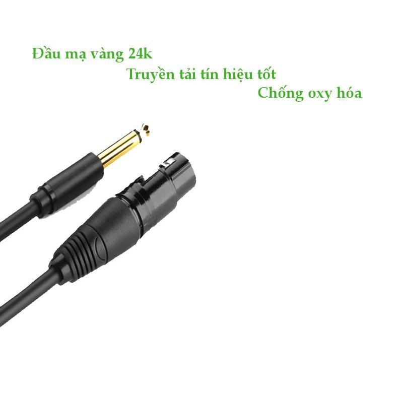 Cáp chuyển đổi từ 6.5mm sang AV Cannon (XLR) âm cho microphone, stereo, mixer, amplifier UGREEN AV131 - Hàng chính hãng