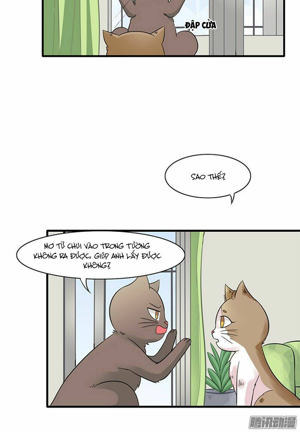 hai chú mèo totem chapter 11 5
