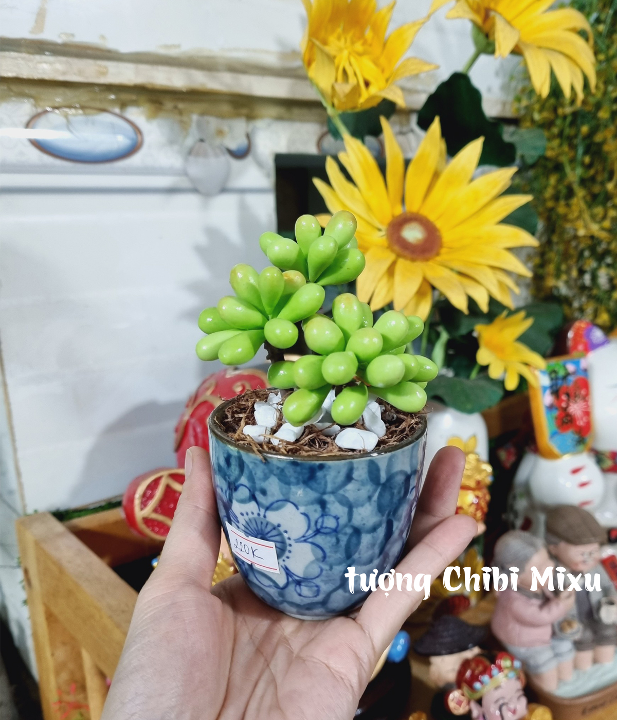 Chậu sen đá bằng đất sét Nhật - mẫu 02