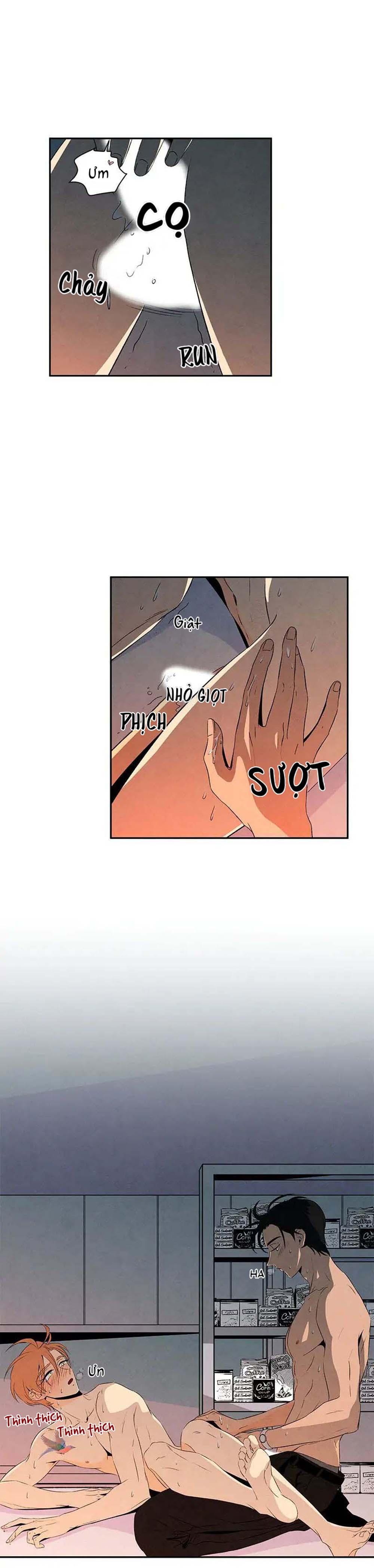 bona sort chapter 11 3