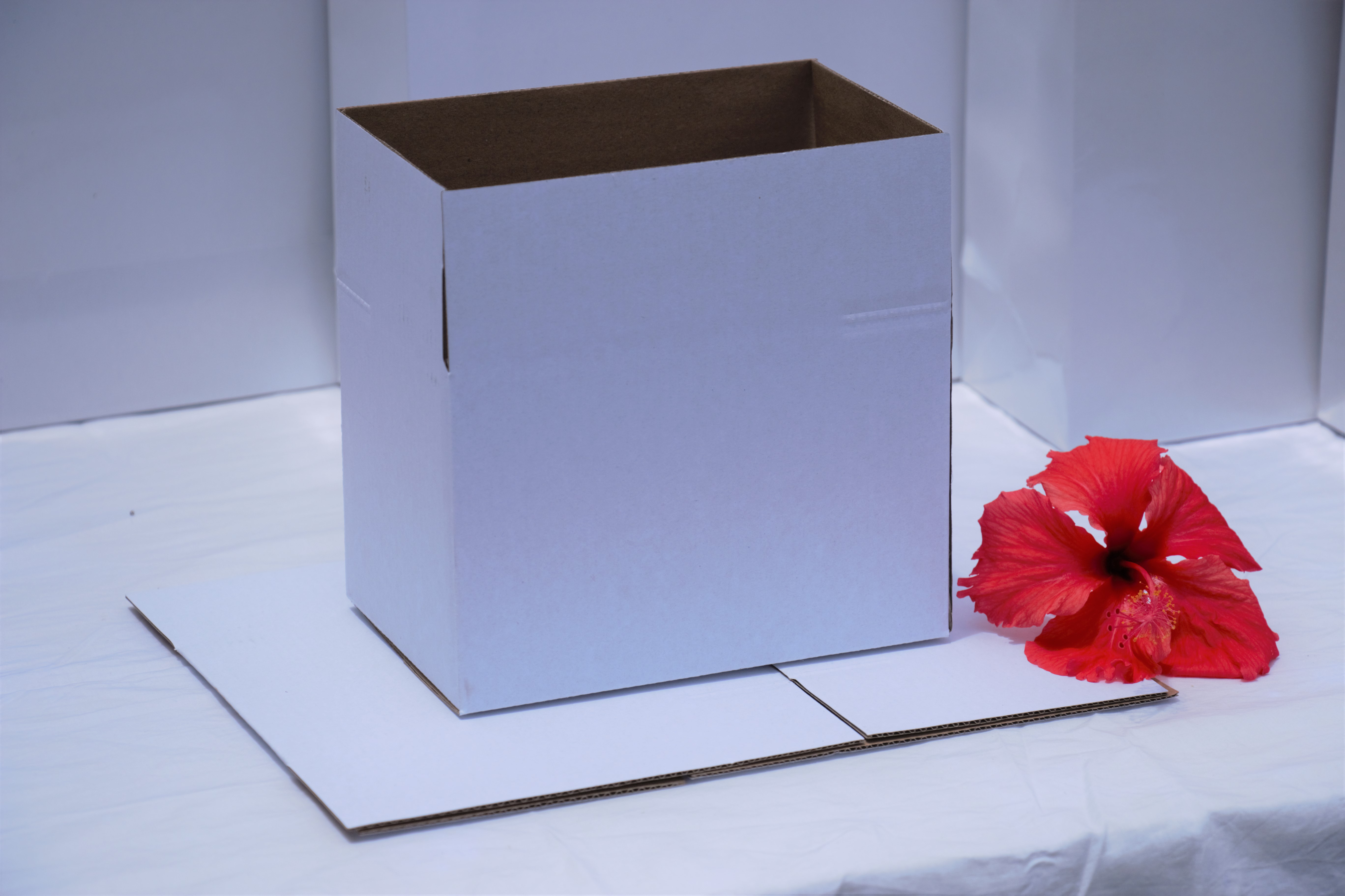 20 Hộp Carton Đóng Hàng 18x12x12 - Giá Nhà Sản Xuất Bao Bì Bình Minh- Hộp Gói Hàng Nhỏ Dầy Chắc