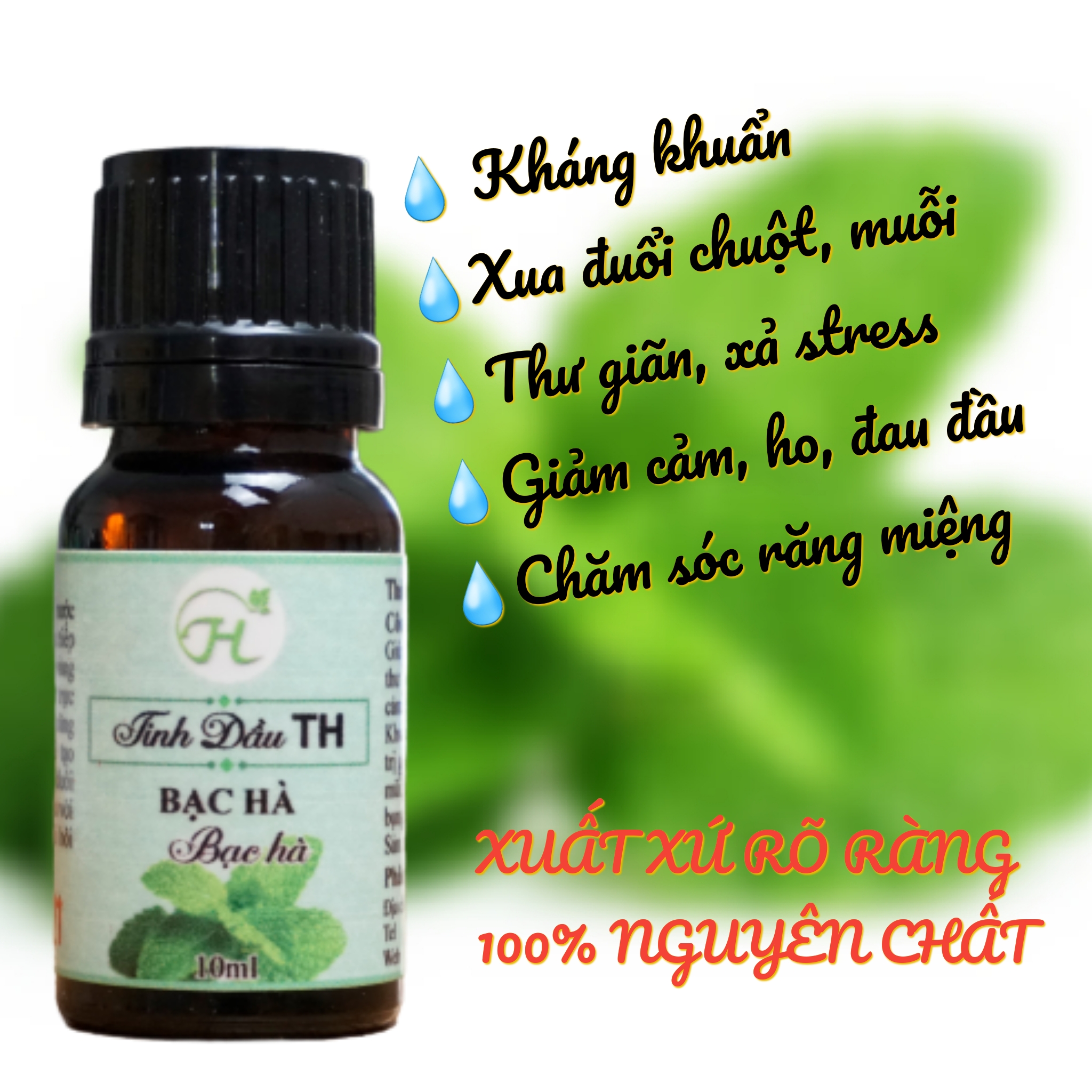 Combo 2 Tinh Dầu: Bạc Hà (50ml)+Cam Ngọt (50ml) - Hàng Việt Nam Nguyên Chất, Giúp Giảm Stress, Xua Đuổi Côn Trùng Và Khử Mùi Hiệu Quả, Thích Hợp Dùng Với Đèn Xông Và Máy Khuếch Tán.