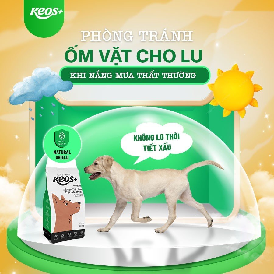 20KG Thức ăn chó Keos+ hỗ trợ tiêu hóa cho chó, vị thịt cừu &amp; gạo . KEOS PLUS ADULT Digestive Care Lamb and Rice