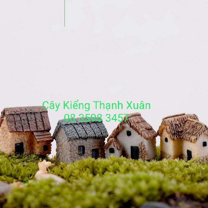 Phụ kiện trang trí chậu cây kiểng, tiểu cảnh sen đá xương rồng, Mô hình ngôi NHÀ MÁI TRANH trang trí sân vườn, hồ cá (Combo 2c , giao màu ngẫu nhiên)