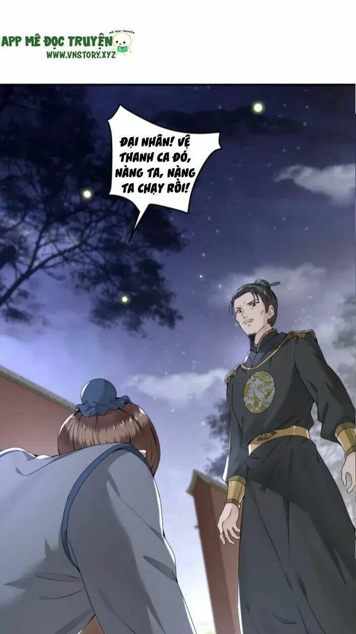 phượng hoàng vu phi chapter 65 4