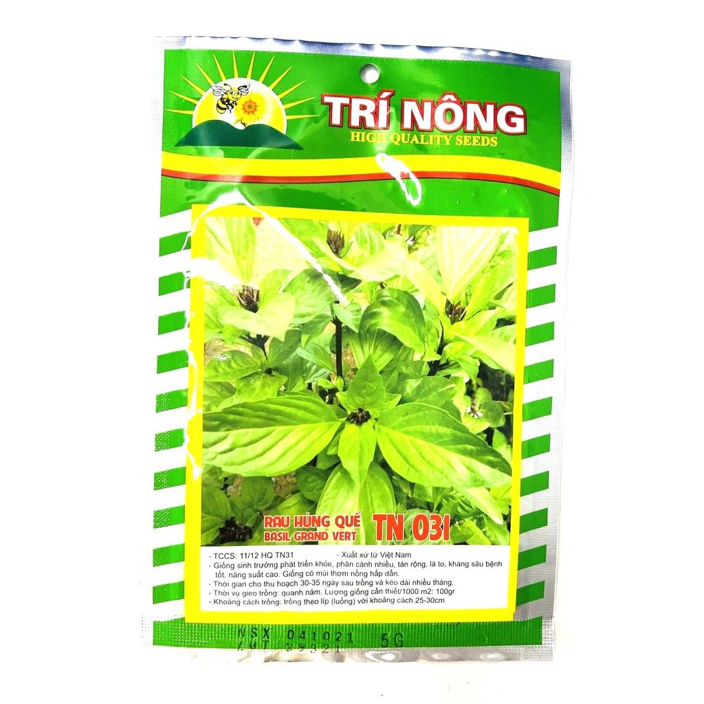 Hạt giống rau húng quế TN 031