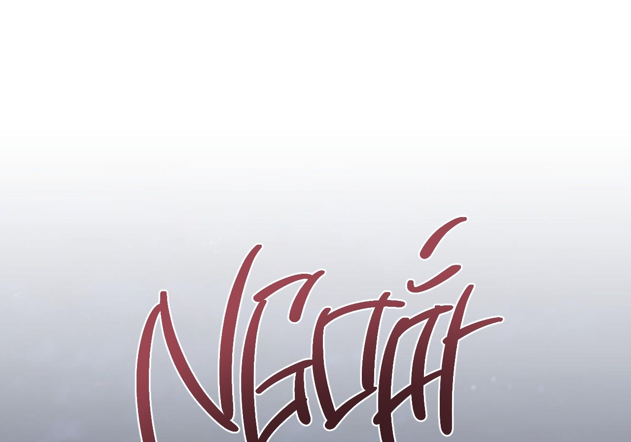 những chú thỏ của hapypy chapter 60 63