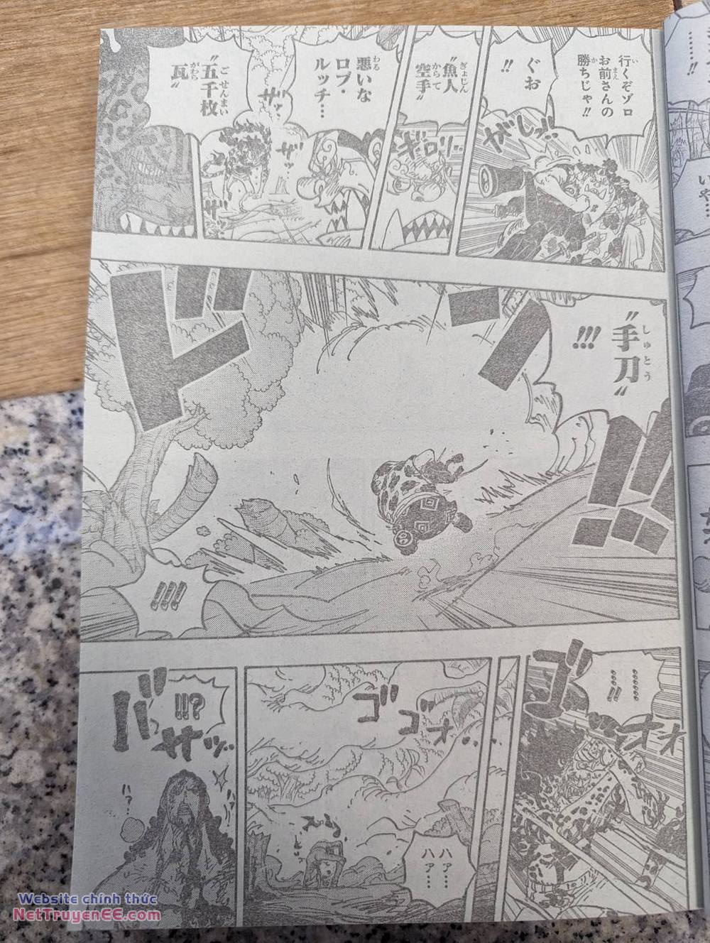 đảo hải tặc - one piece chapter 1111 6