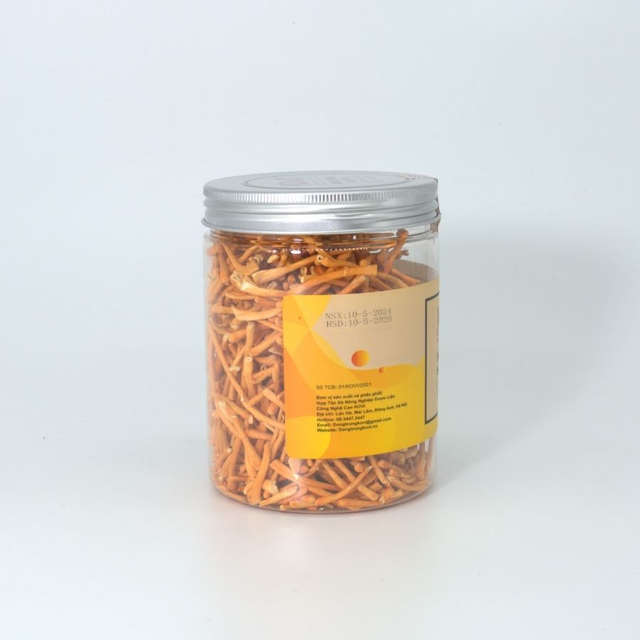 Đông trùng hạ thảo KOVI khô sấy thăng hoa 30g [Giá dùng thử]