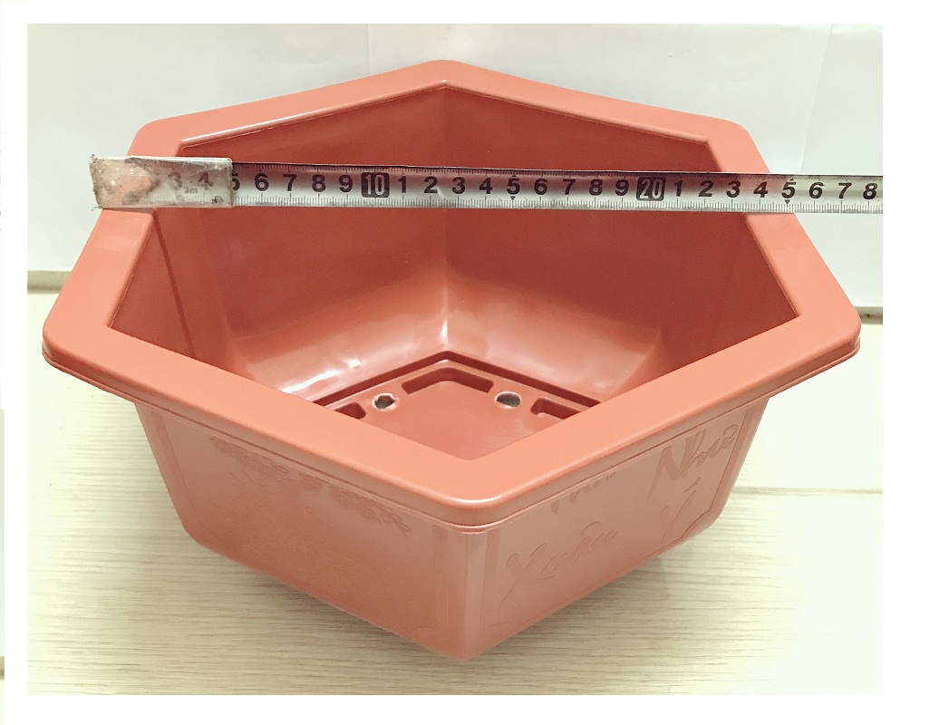 10 Chậu Nhựa Lục Giác Trồng Hoa, Cây Cảnh Bonsai 280x180