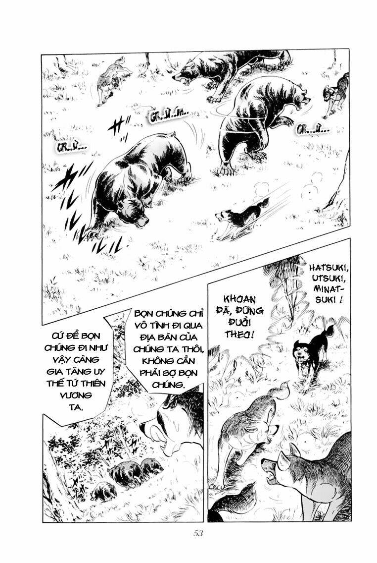 chú chó có nghĩa - ginga nagareboshi gin chapter 32 7