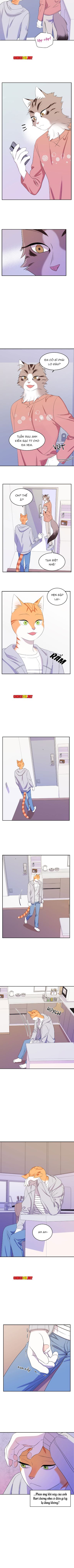 dự án xanh chapter 9 6