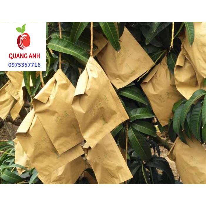 TÚI BAO TRÁI GIẤY DÙNG BAO TRÁI BƯỞI, THANH LONG...