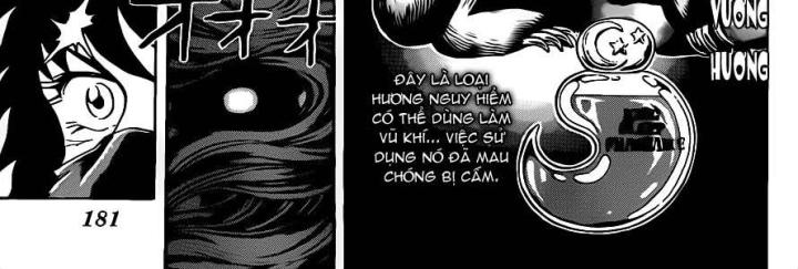 thánh tỏi sành ăn chapter 205 17