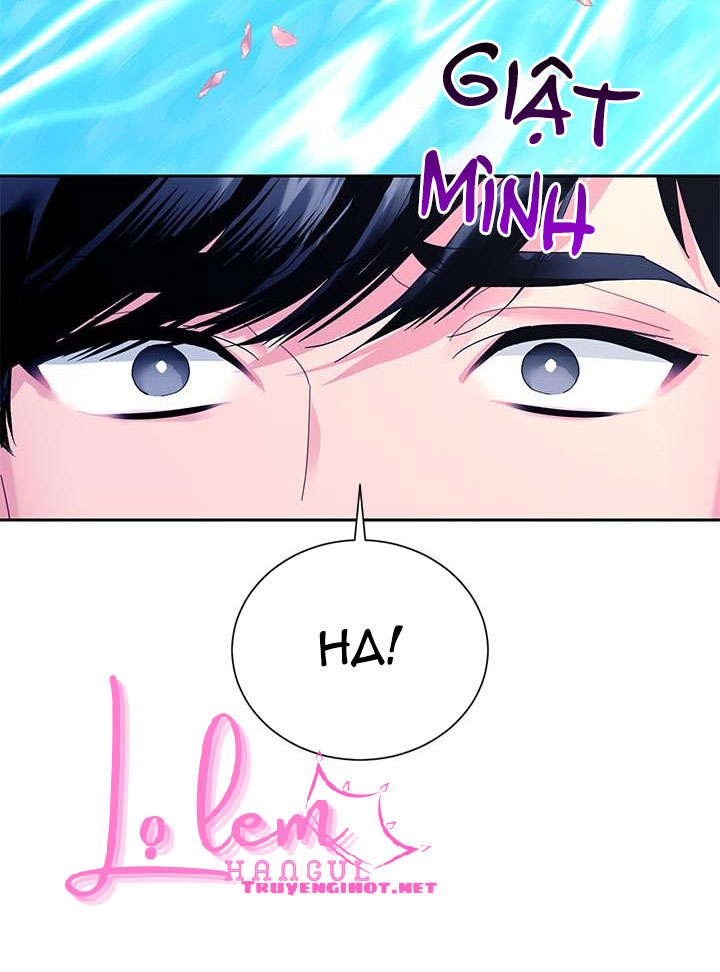 công chúa của loài chim chapter 38.1 33