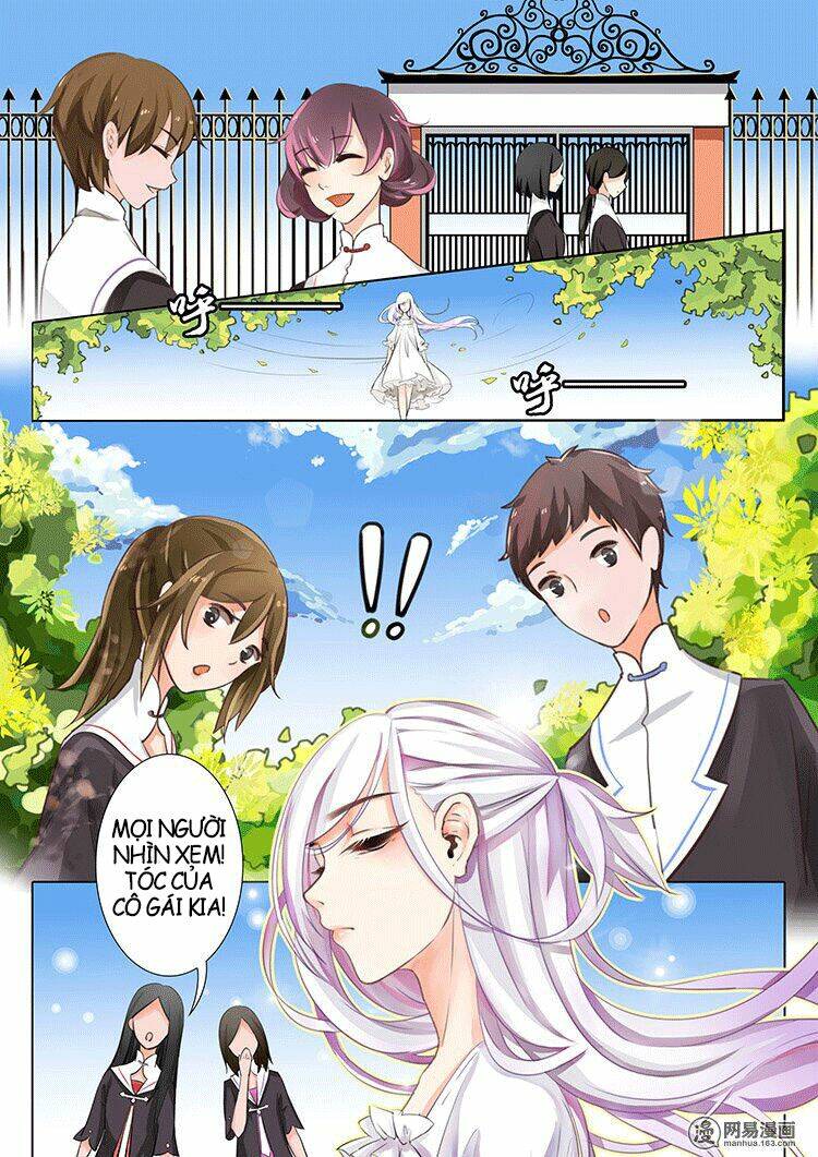 lưu ly hạ rực rỡ chapter 1 3