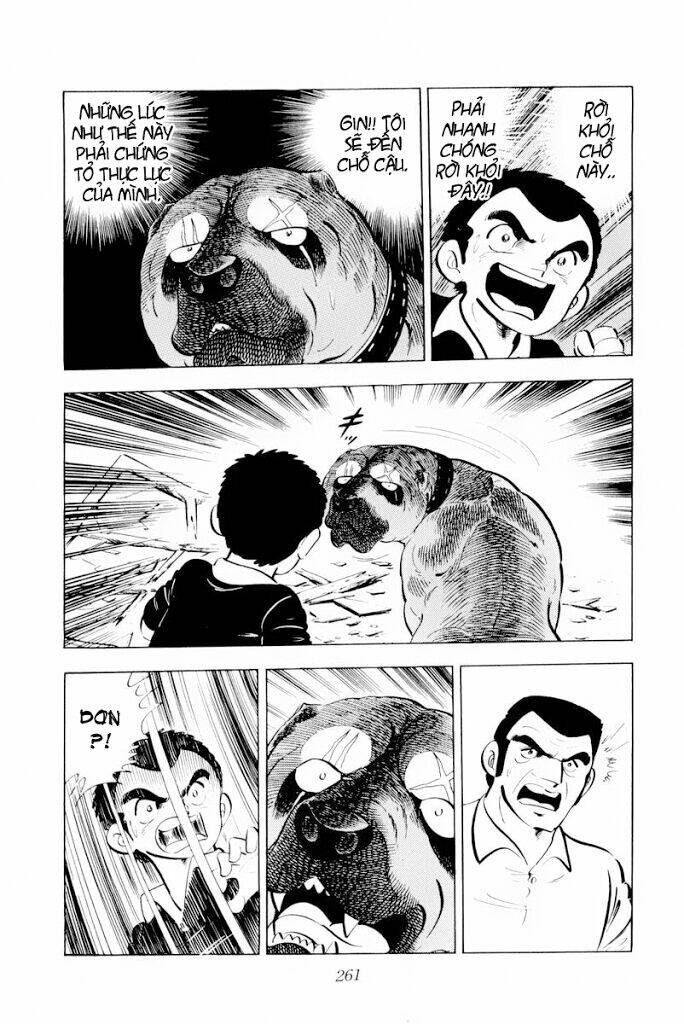 chú chó có nghĩa - ginga nagareboshi gin chapter 30 19