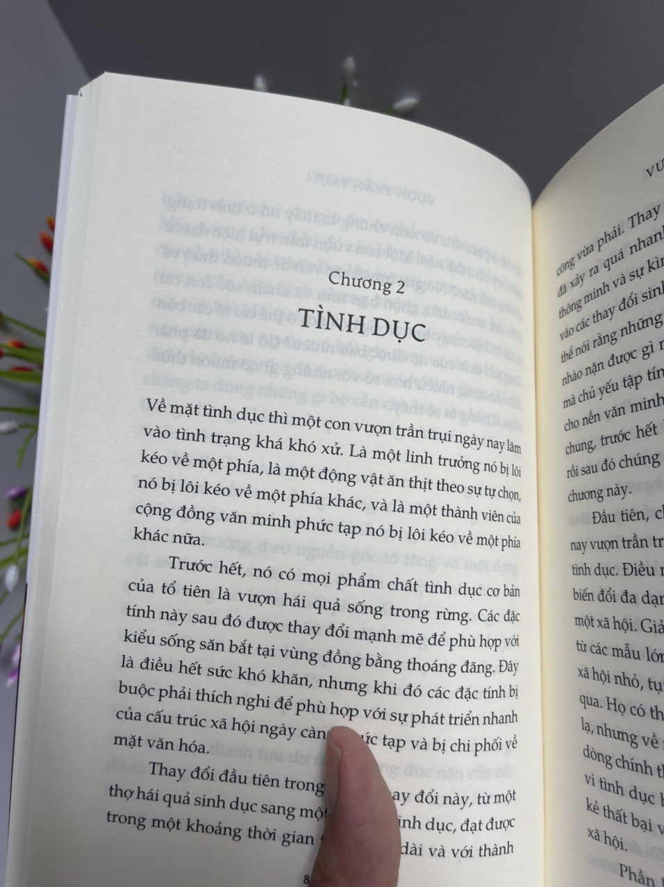 (Combo 2 cuốn Desmond Morris) VƯỢN TRẦN TRỤI và VƯỜN THÚ NGƯỜI – Vương Ngân Hà dịch – Nhã Nam (Bìa mềm)