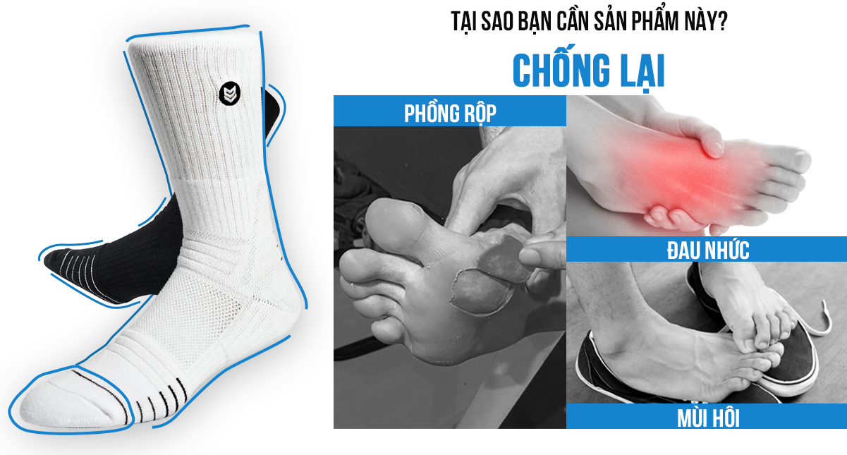 Tất thể thao Redikick ICON Light Cushion Cotton Cổ cao Có đệm Thoáng khí Chống hôi chân vớ Bóng rổ Bóng đá Chạy bộ Gym, Cầu Lông, Tennis, Bóng chuyền