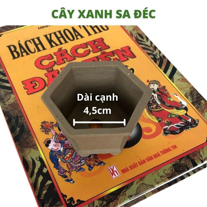 Chậu lục giác mini đáy xuông CK1A và đáy bầu CK1B cho bonsai mini để bàn, sen đá, xương rồng