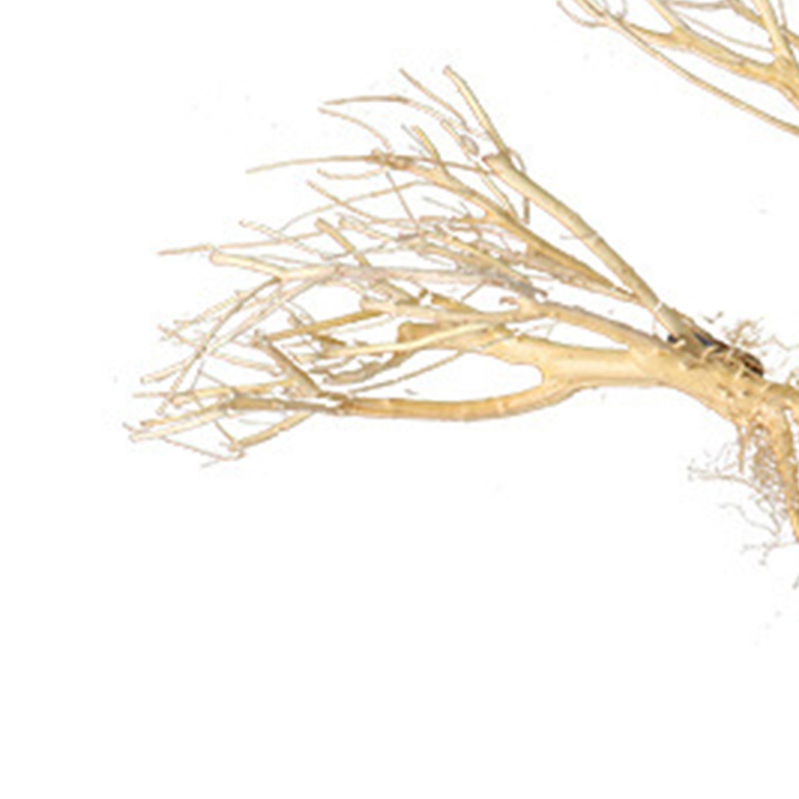 Aquatic  Aquarium Driftwood  Trunk Tree Branch Terrarium Decor