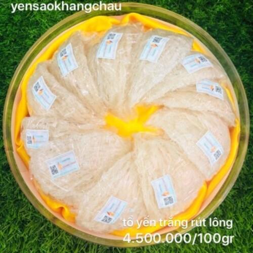 Bạch Yến Rút Lông