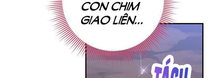 công chúa của loài chim chapter 50.1 233