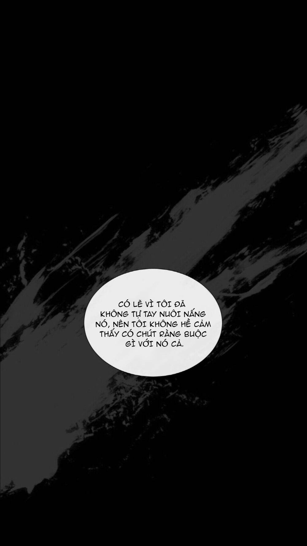 mr. miss chapter 18 1