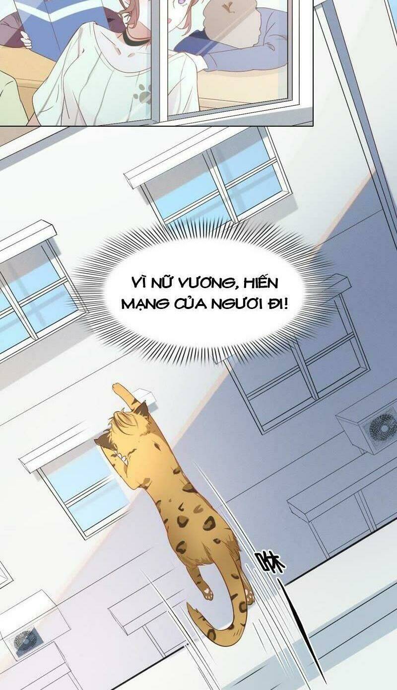 thập nhị hắc miêu chapter 1 13